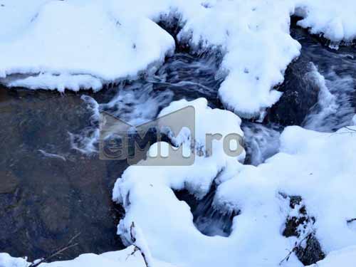 Foto Mreje, valea Baita (c) Lucian Petru Goja